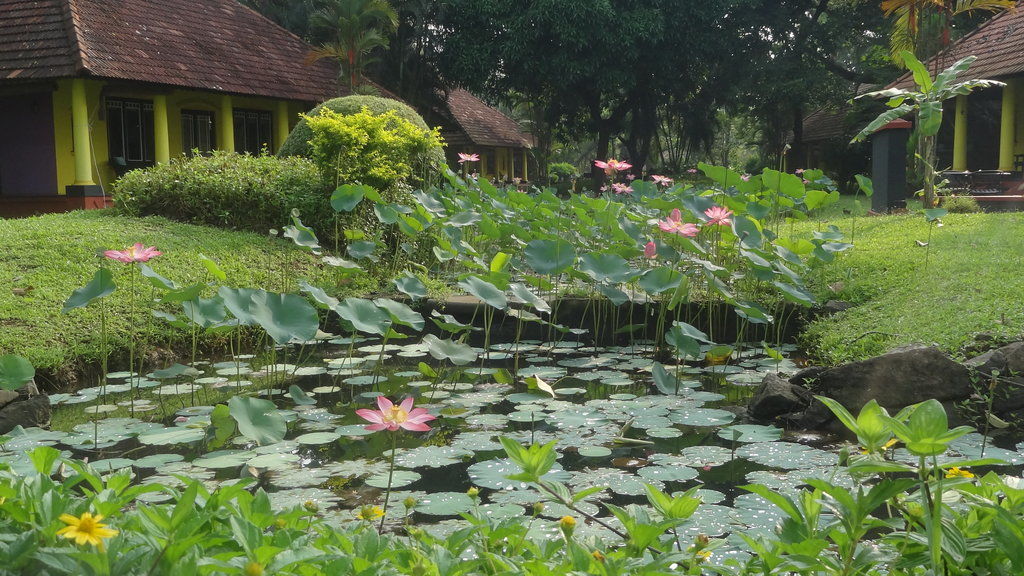 Taj Kumarakom Resort And Spa Kerala Экстерьер фото