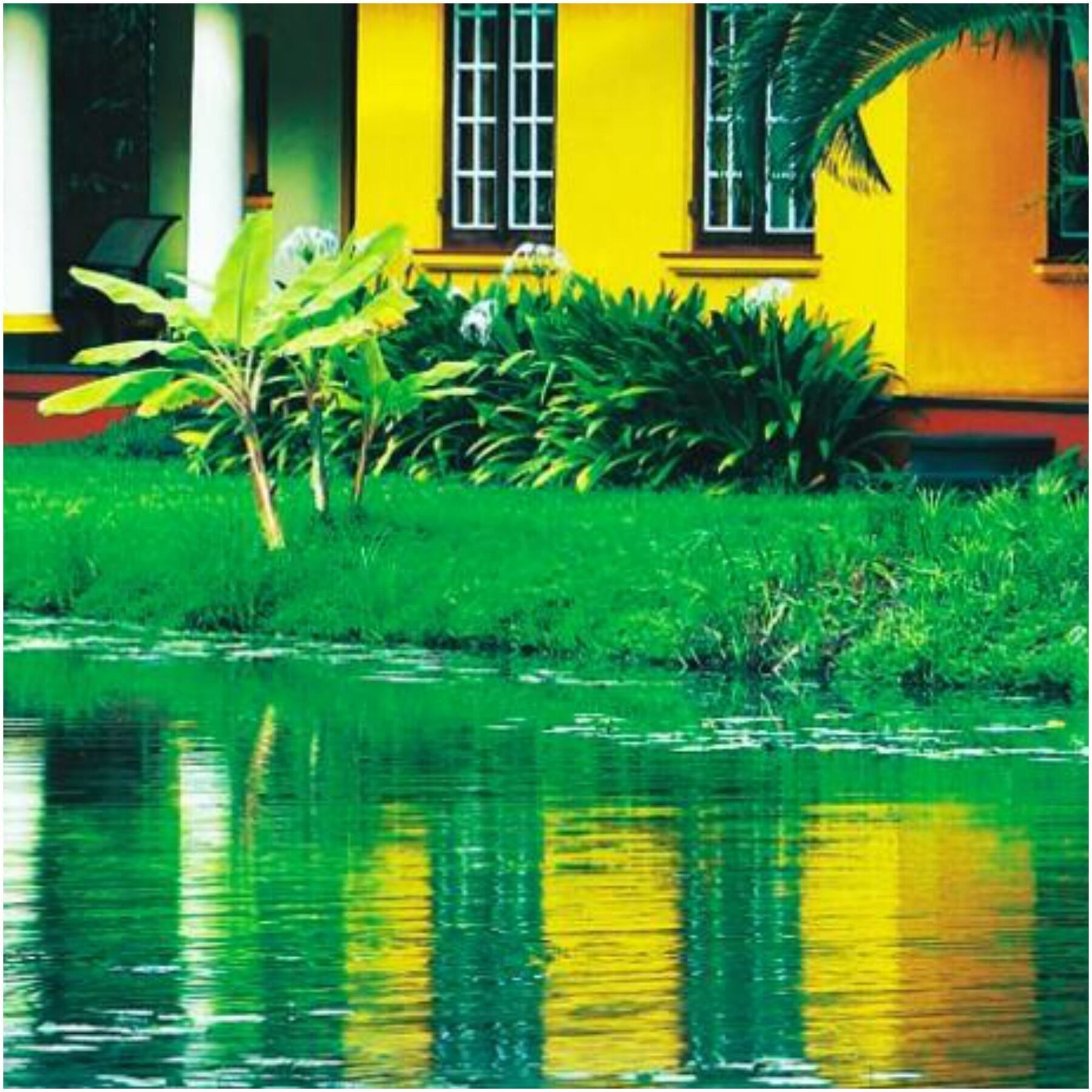 Taj Kumarakom Resort And Spa Kerala Экстерьер фото
